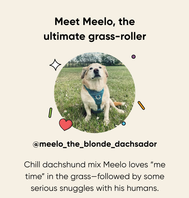 Meet Meelo, the ultimate grass-roller