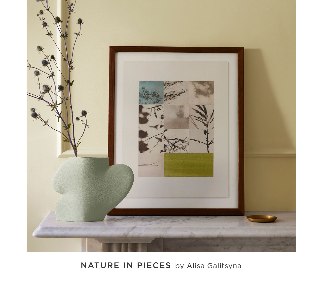Nature In Pieces