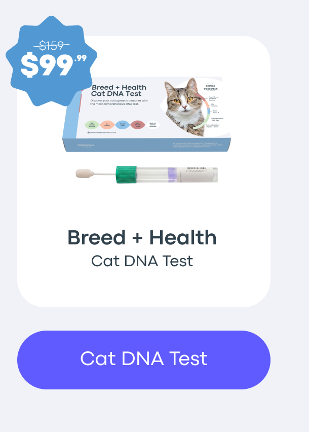 Cat DNA Test