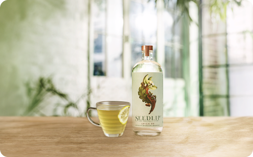 Hot Toddy
