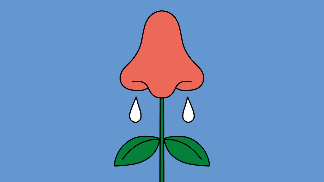 illustration of a flower with a red nose in place of a blossom, resembling a human nose. The nose has two white teardrop shapes beneath it, representing a runny nose.