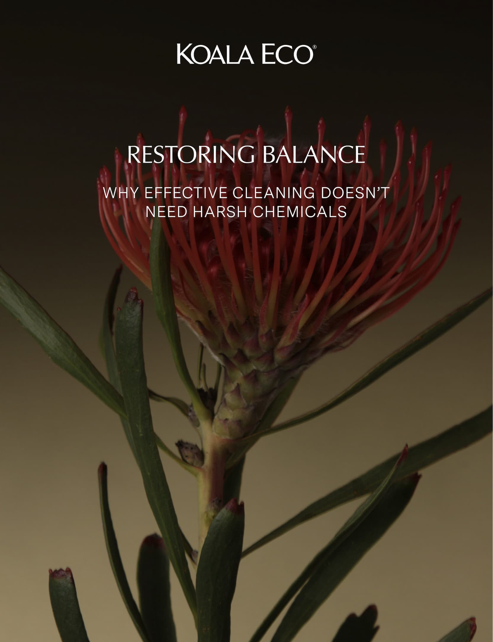 KOALA ECO: Restoring Balance