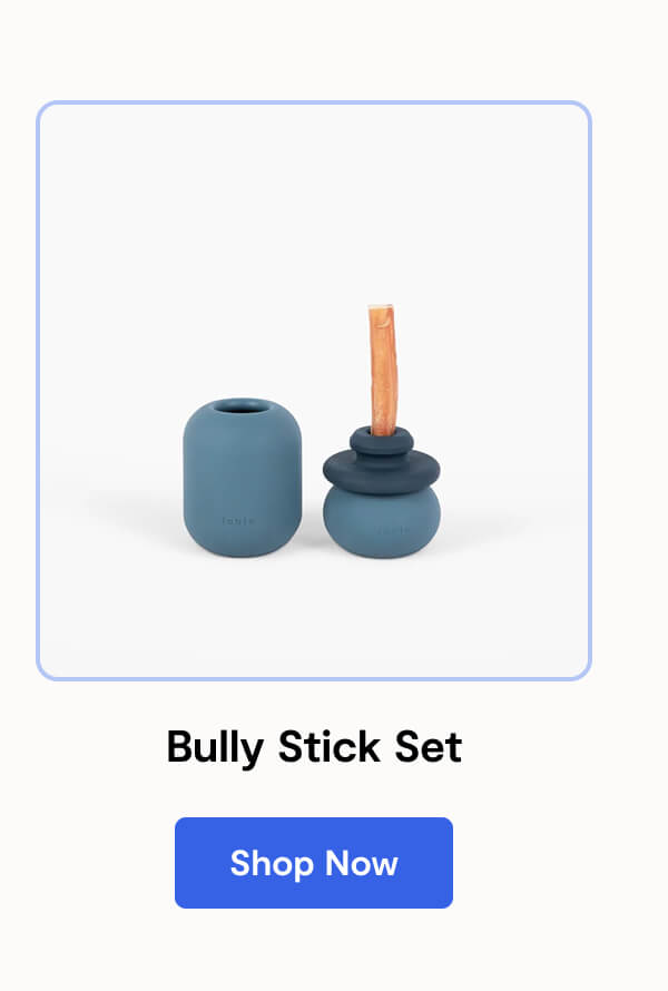 Bully Stick Set