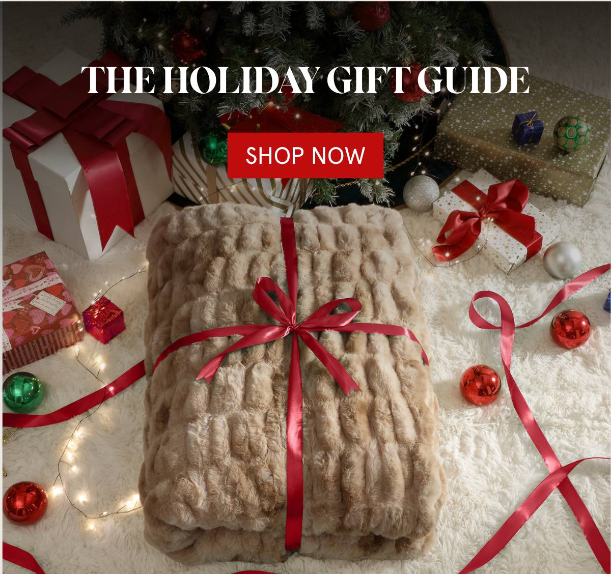 Holiday Gift GUide