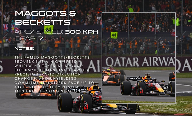 Maggots & Becketts