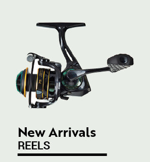 New Reels