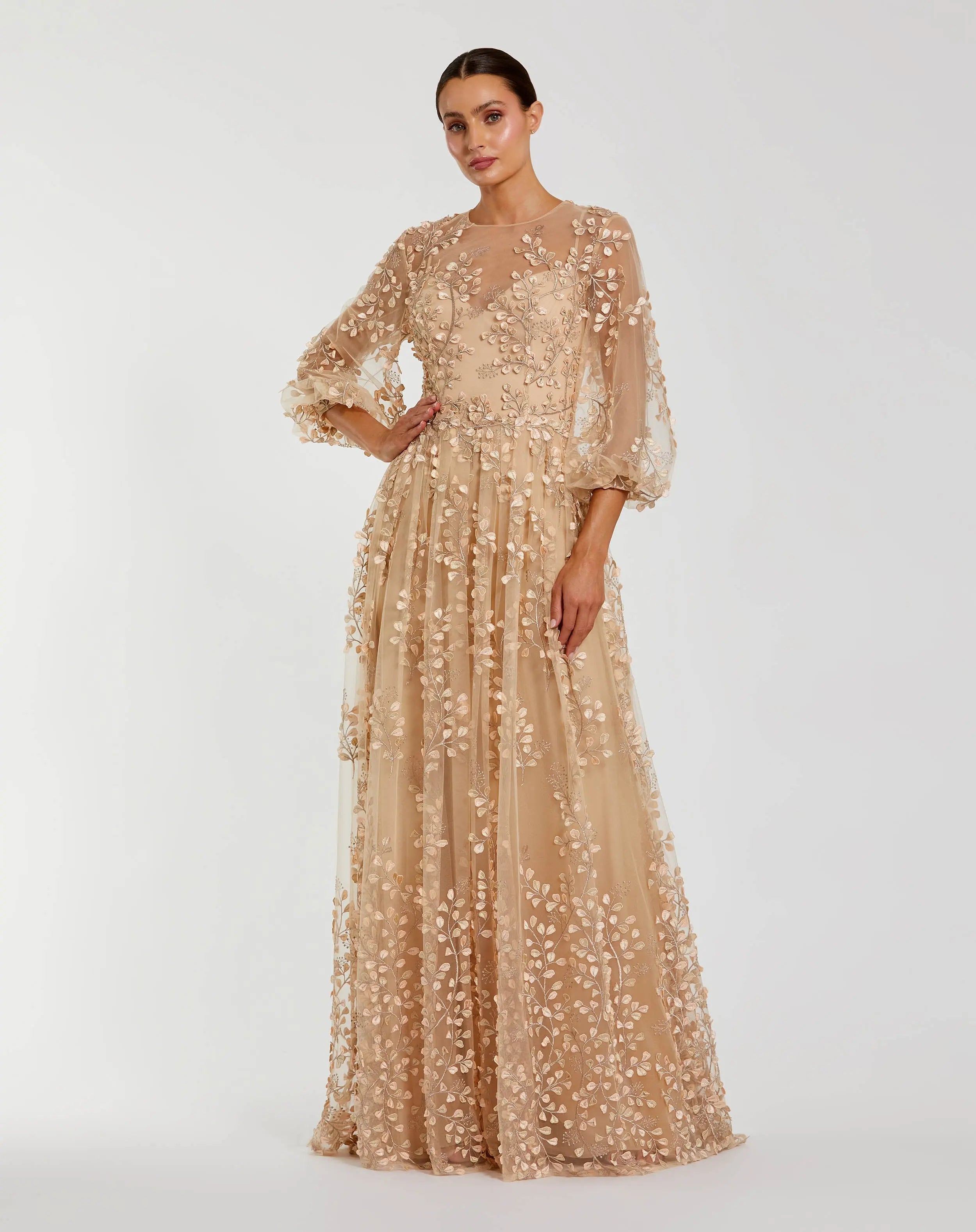 Image of Beige Embroidered Puff Sleeve A-Line Gown