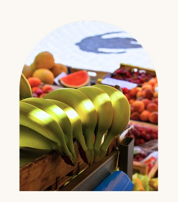Fruit stand
