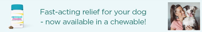 Member Prescription Program Exclusive Member Rx Prices plus s&h