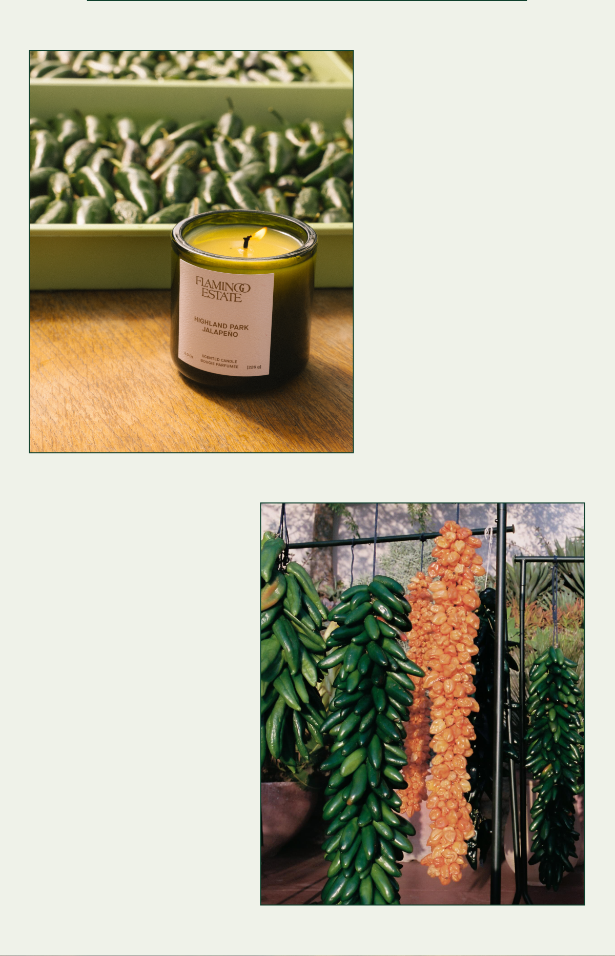 Jalapeno Candle