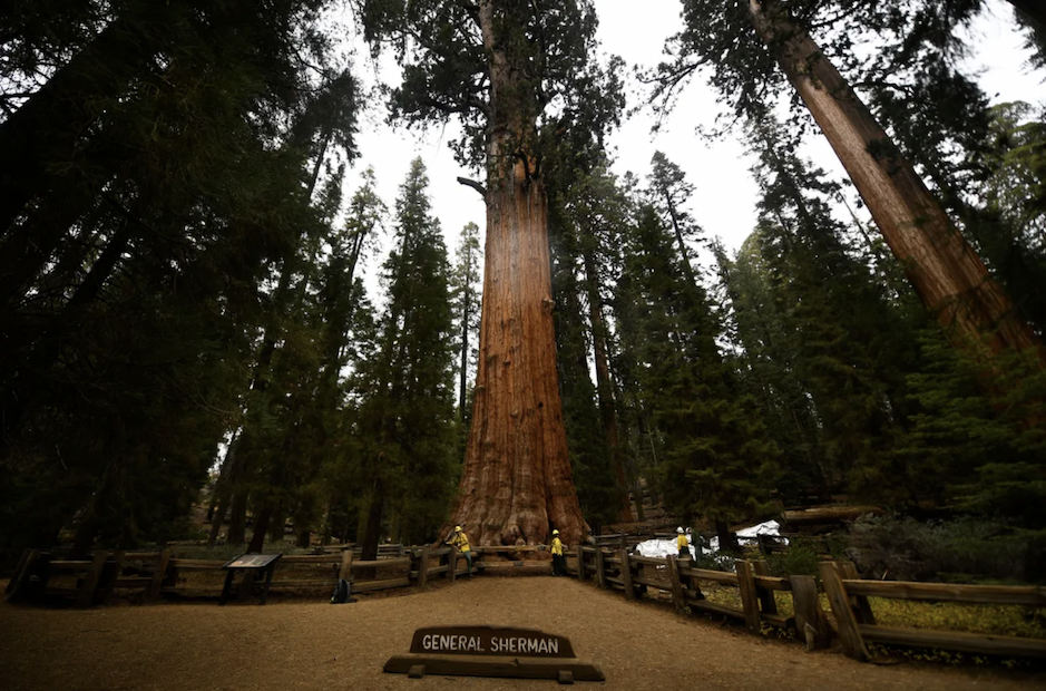 General Sherman