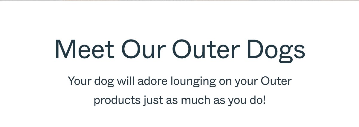 Meet Our Outer Dogs Your dog will adore lounging on your Outer products just as much as you do!