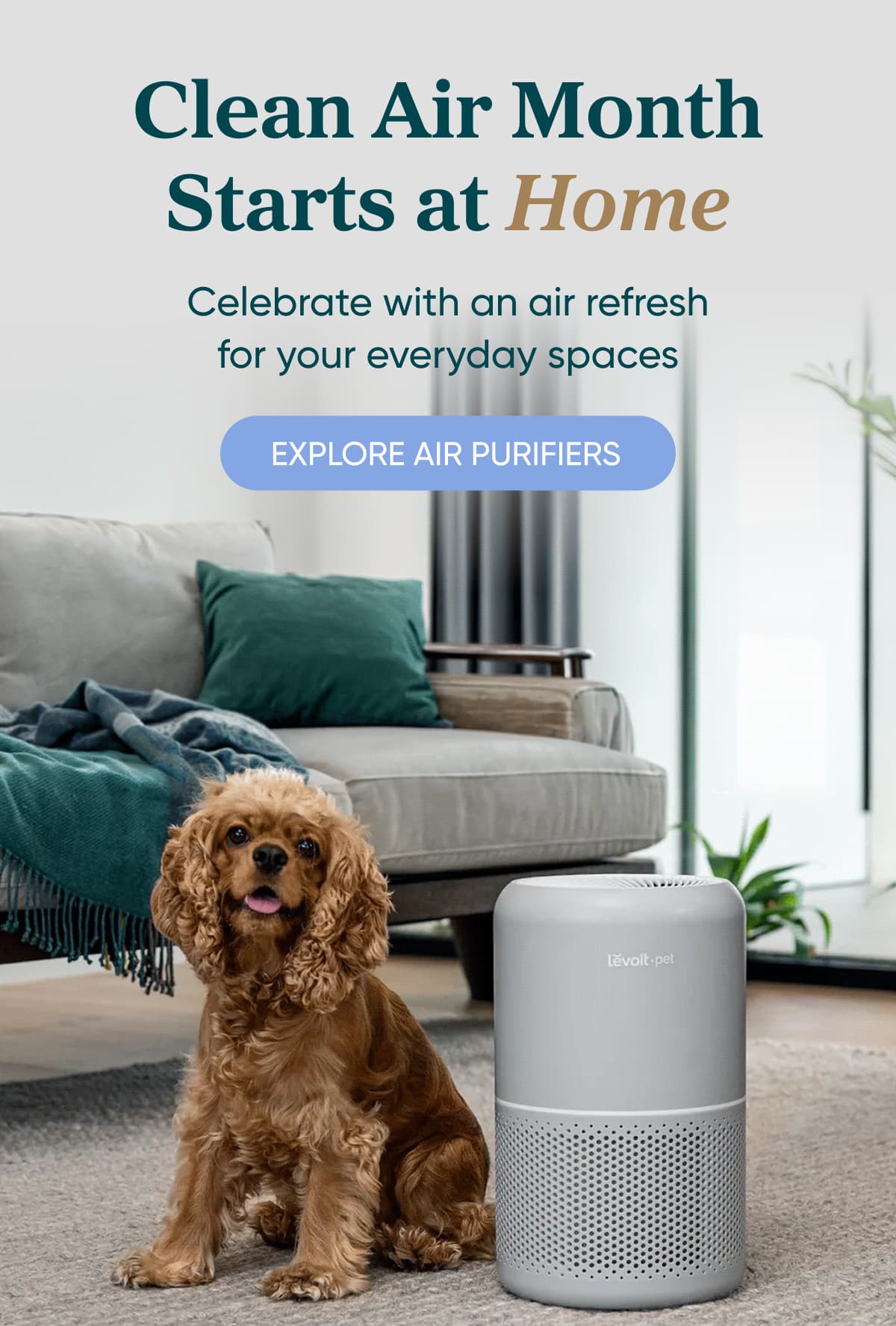 Clean Air Month It Starts At Home