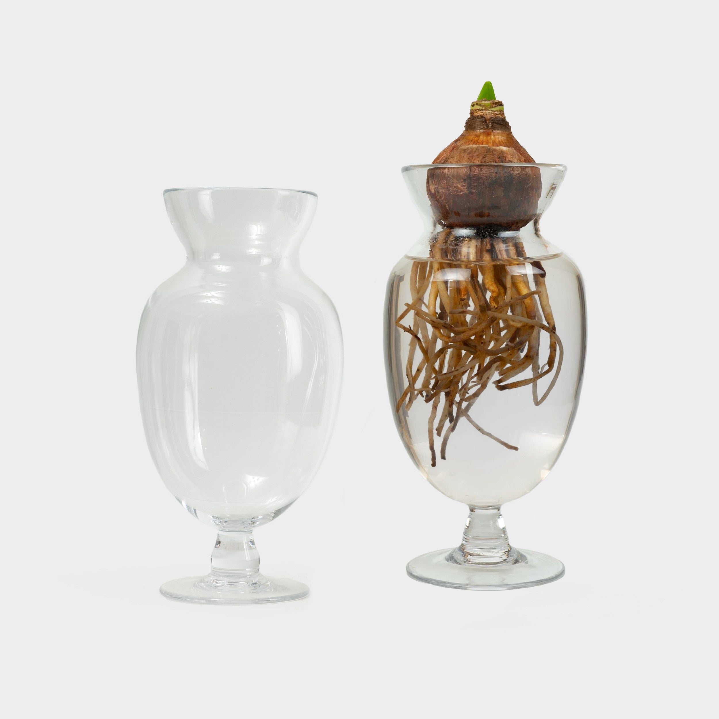 Image of Mouth Blown Hyacinth Bulb Forcing Vase