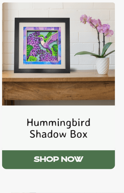 Hummingbird Shadow Box