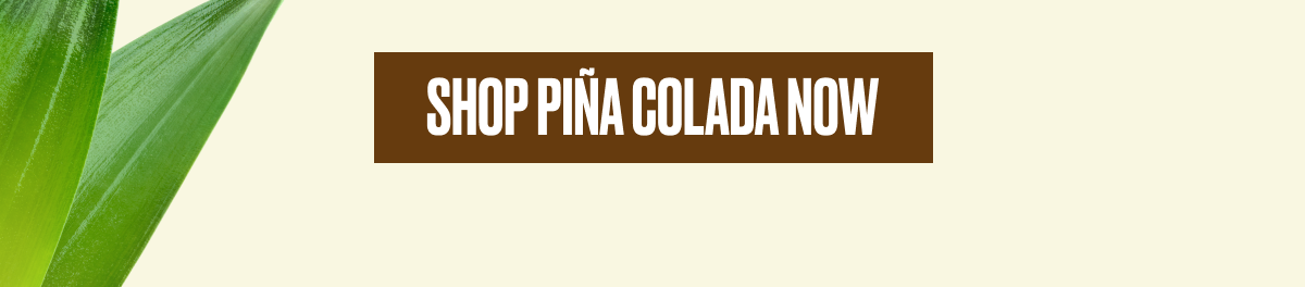 SHOP PIÑA COLADA NOW
