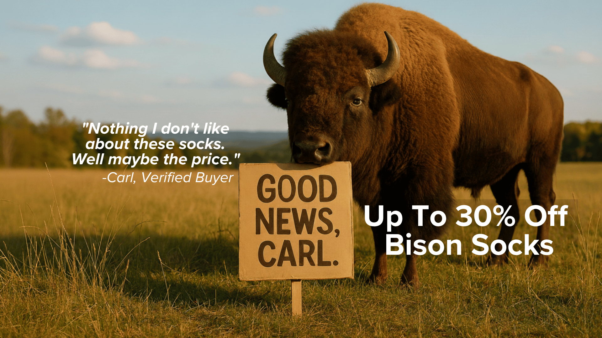 Bison Socks