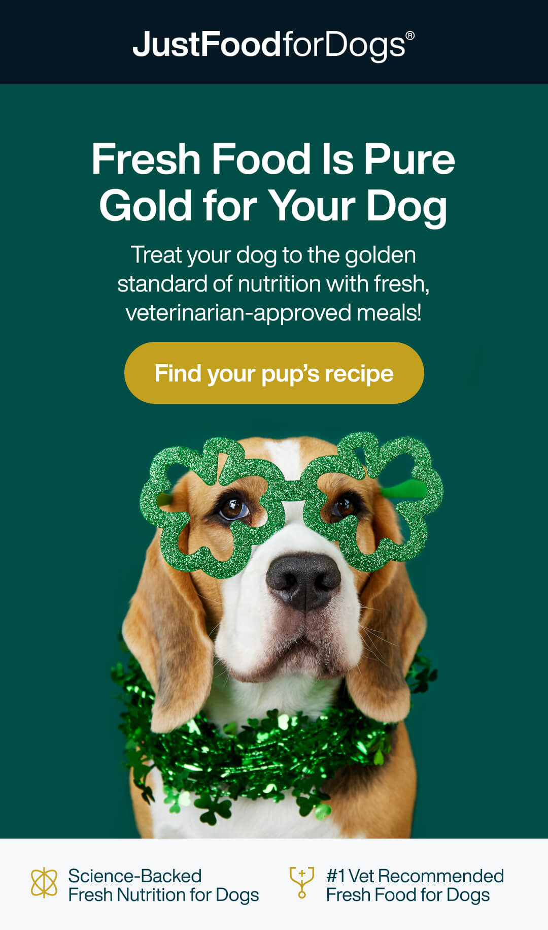 Find your pup's recipe