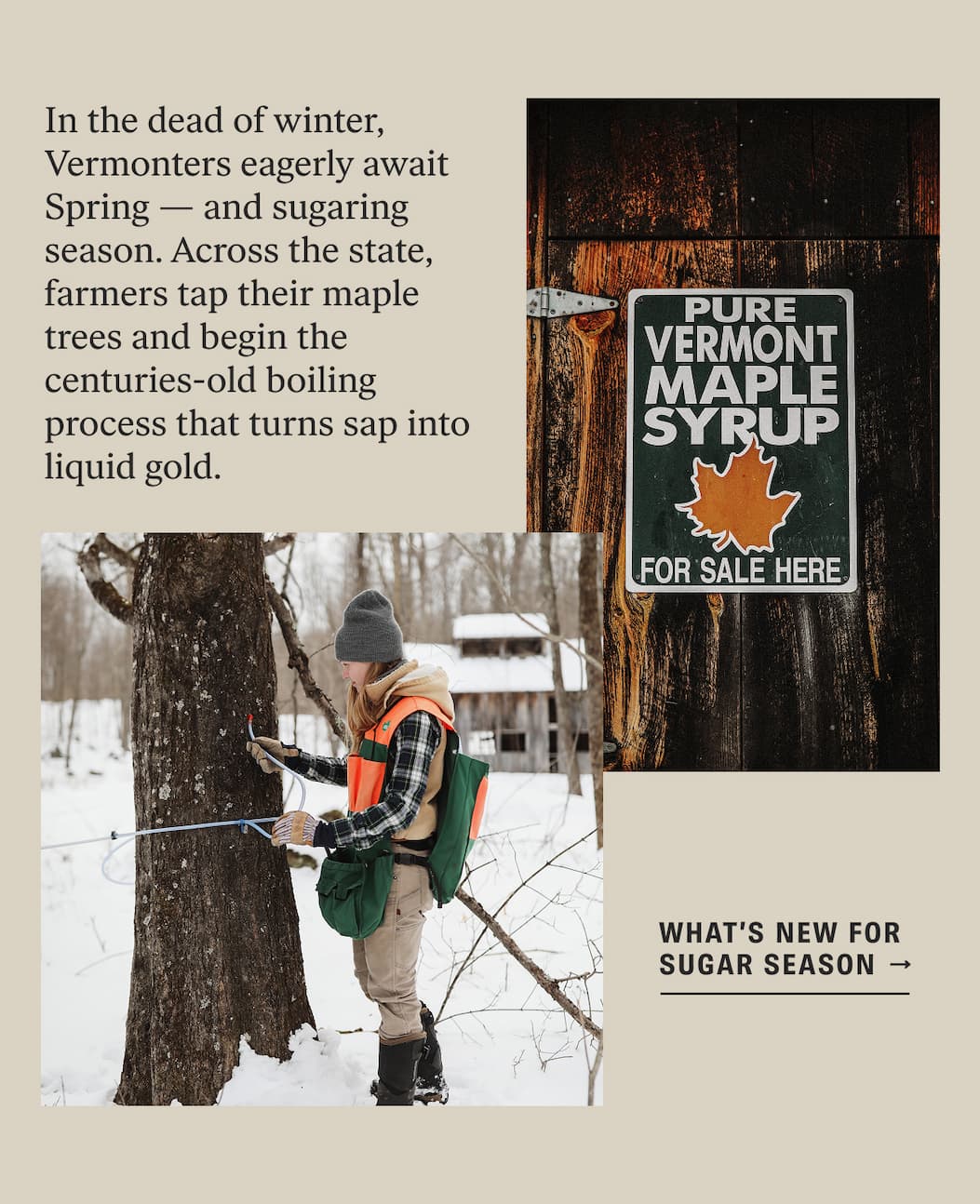 Explore Our Syrups