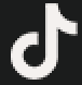tiktok_icon
