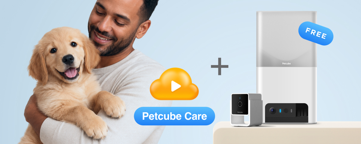 Petcube Care Bundles