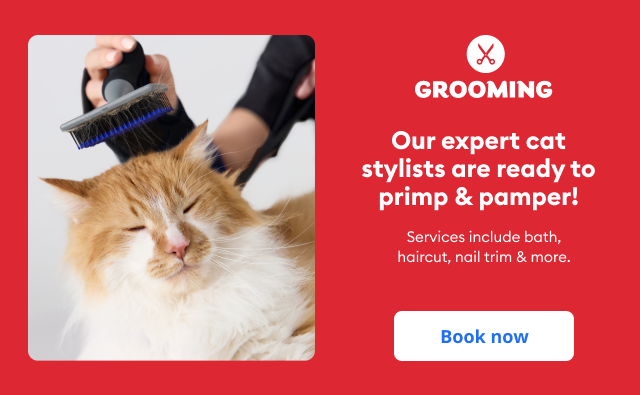 Book now