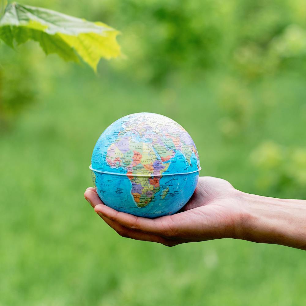 A hand holds a small, colorful globe of the earth in its palm against a backdrop of green leaves.