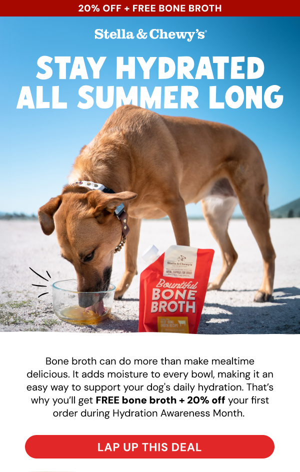 Stay hydrated all summer long!