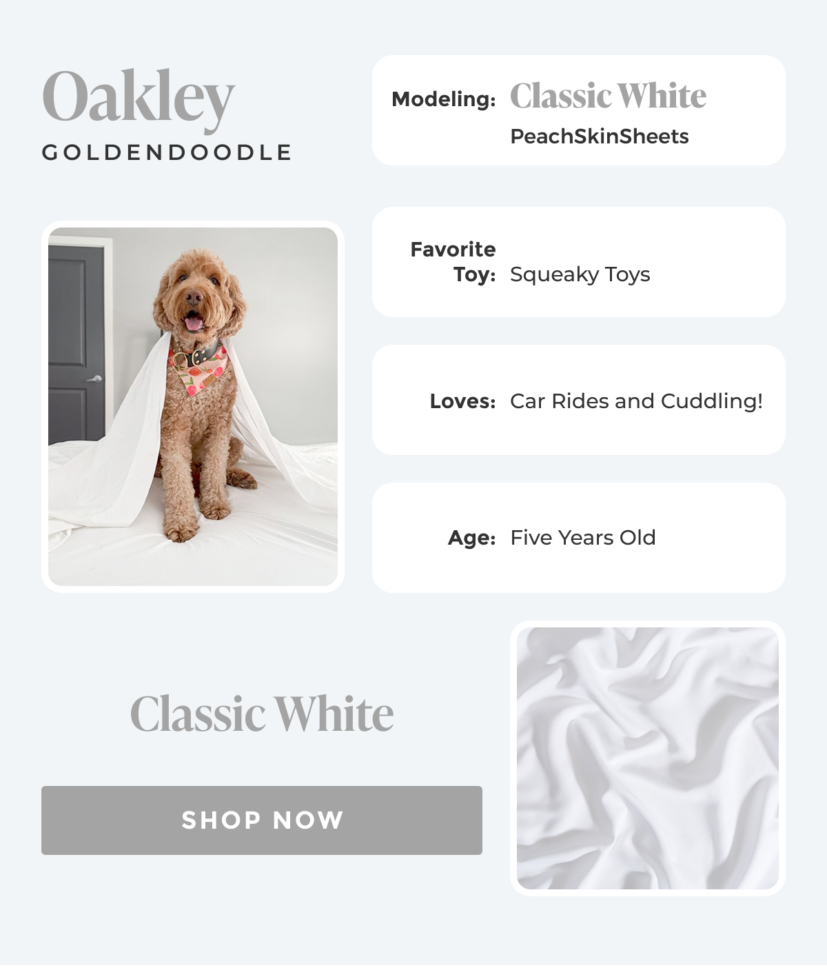 Shop Classic White