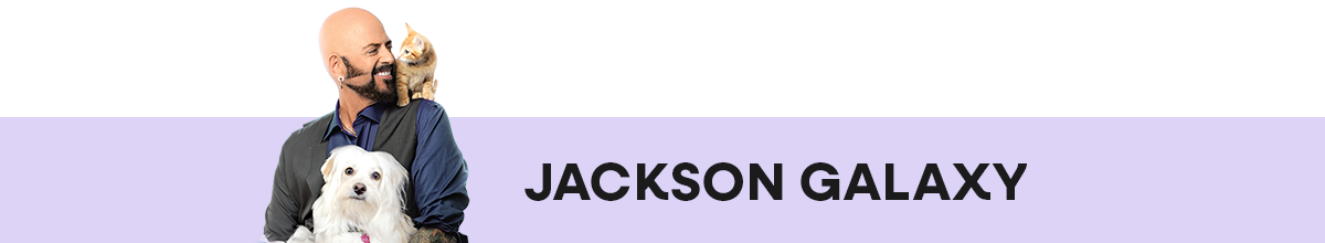 JACKSON GALAXY 2023 SIGNATURE