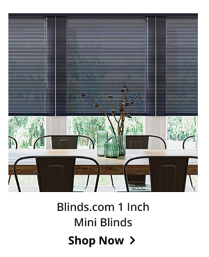 Blinds.com 1 Inch Mini Blinds | Shop Now >