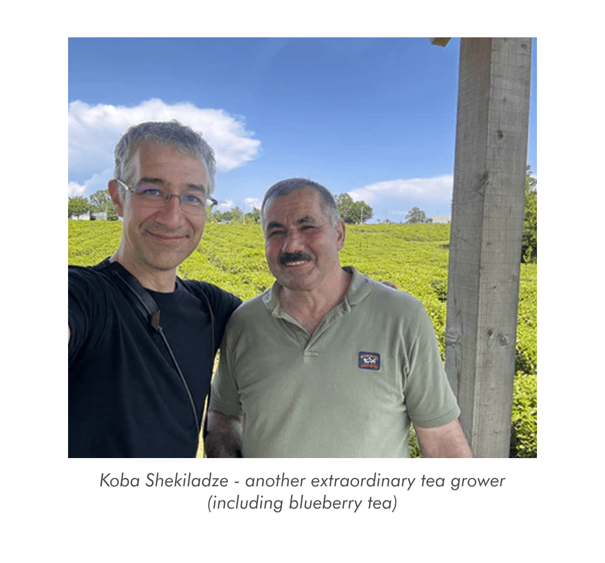 Koba Shekiladze - another extraordinary tea grower (including blueberry tea)