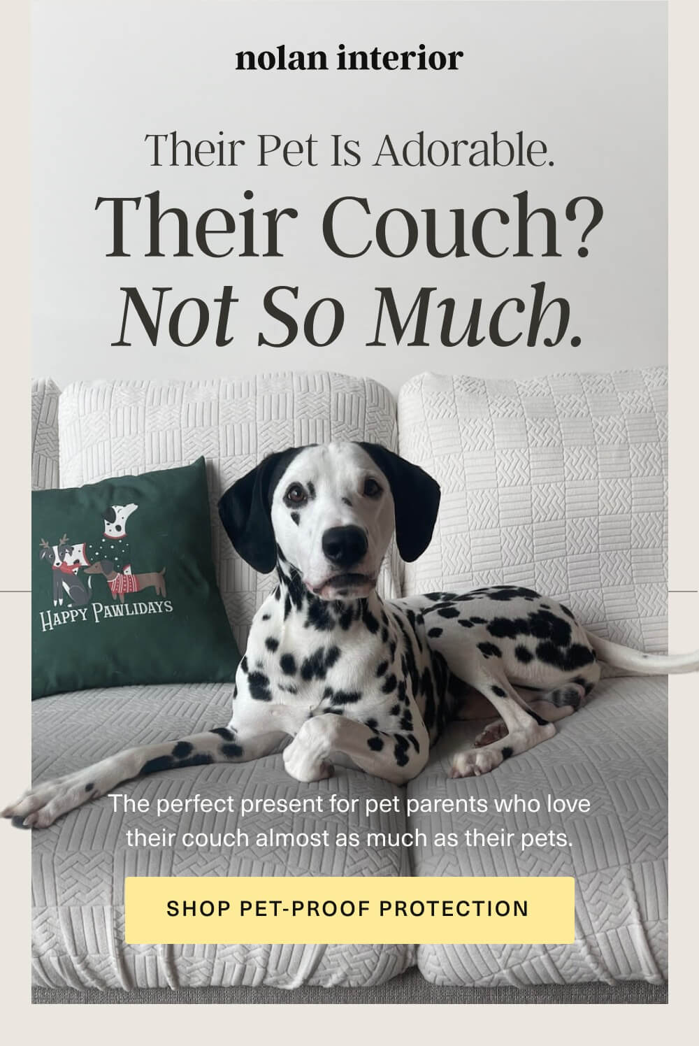 [SHOP PET-PROOF PROTECTION]