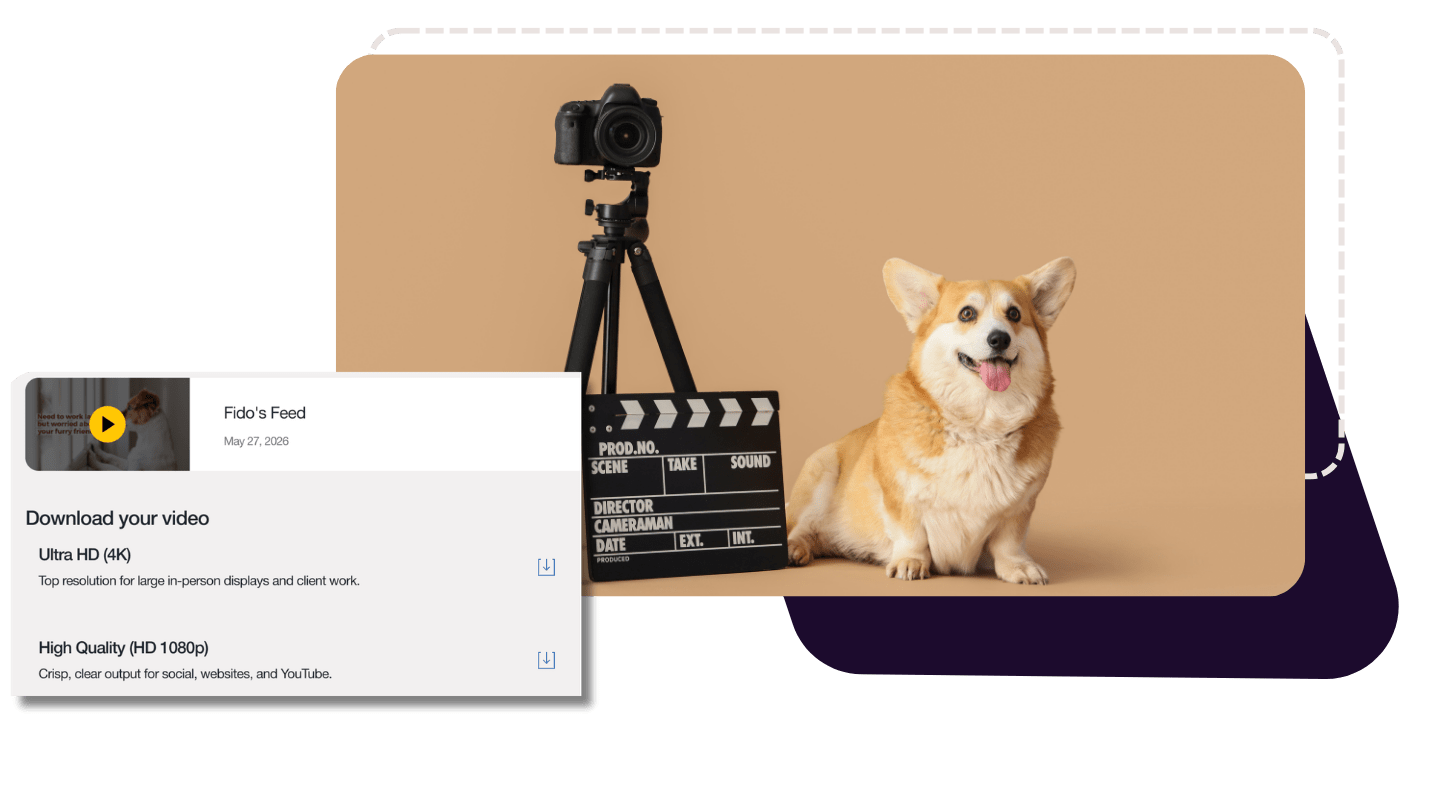 GIF showing transition in action and the transitions menu