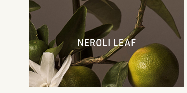 Neroli Leaf