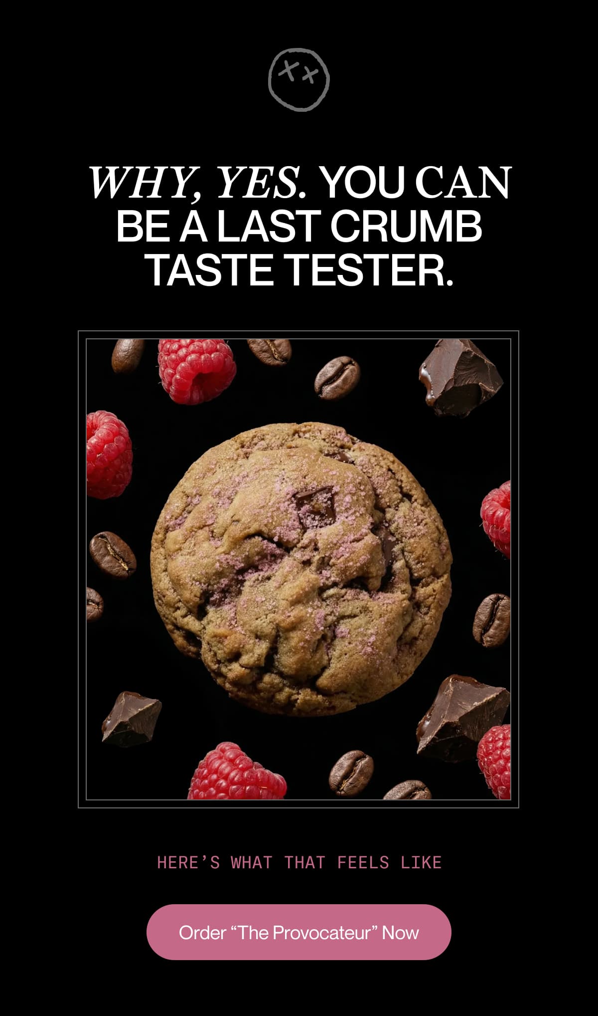 WHY, YES. YOU CAN BE A LAST CRUMB TASTE TESTER. | Here’s what that feels like | Order “The Provocateur” Now