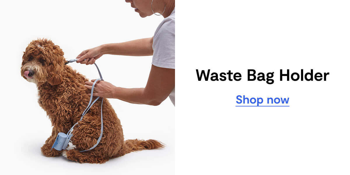Waste Bag Holder