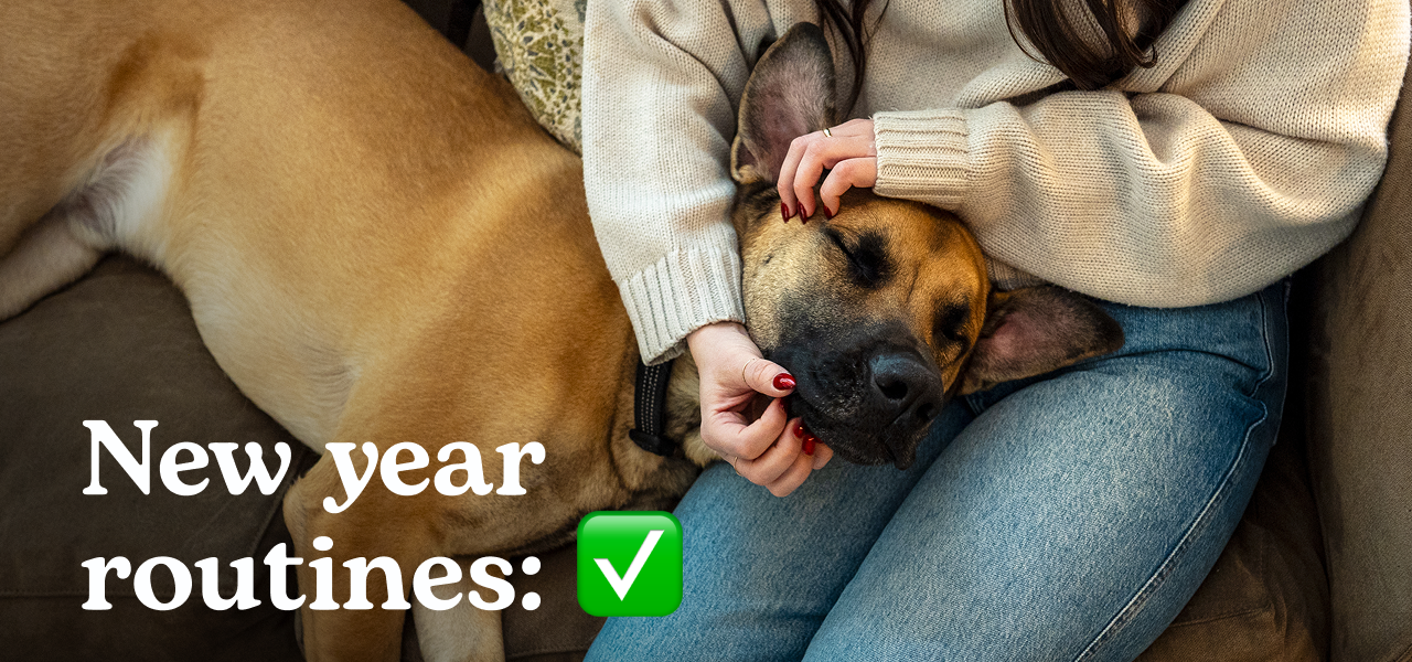 New year routines: ✅
