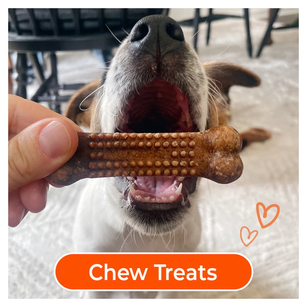 chew treats from nylabone