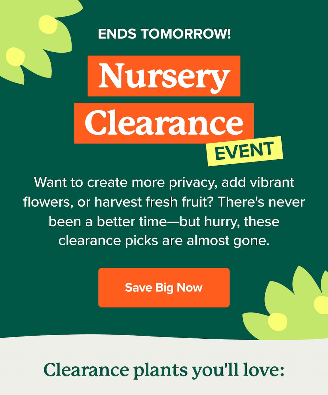 The Nursery Clearance Event ends tomorrow! Save big NOW>>