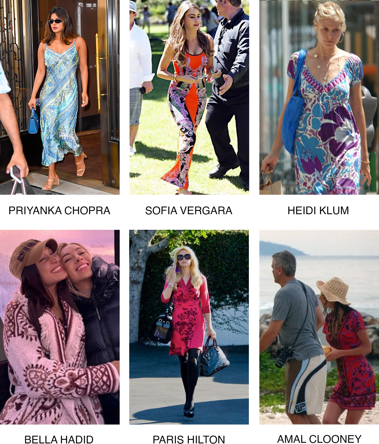 Priyanka Chopra, Sofia Vergara, Heidi Klum, Bella Hadid, Paris Hilton, Amal Clooney