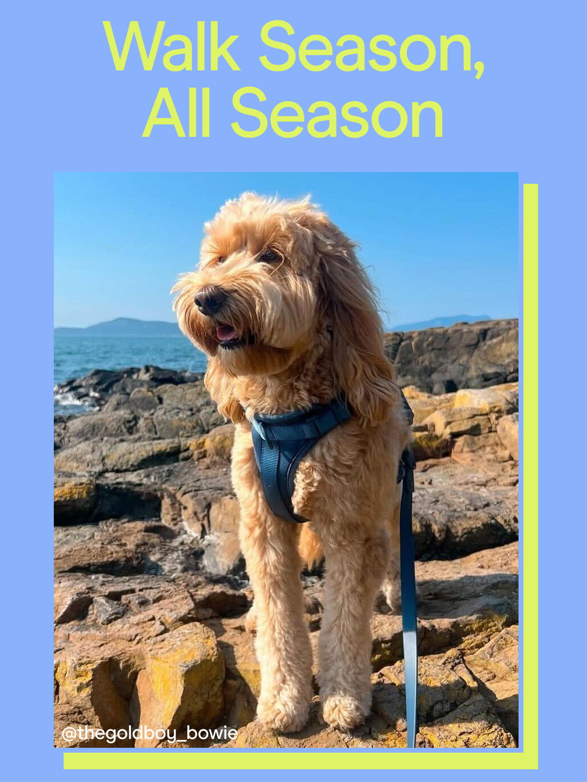 Walk Season, All Season