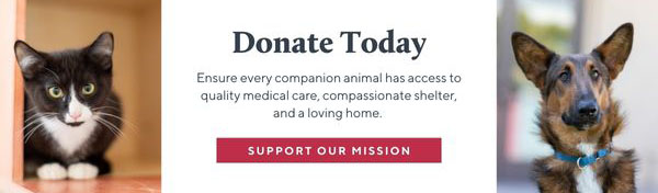 Donate Today - Support Our Mission