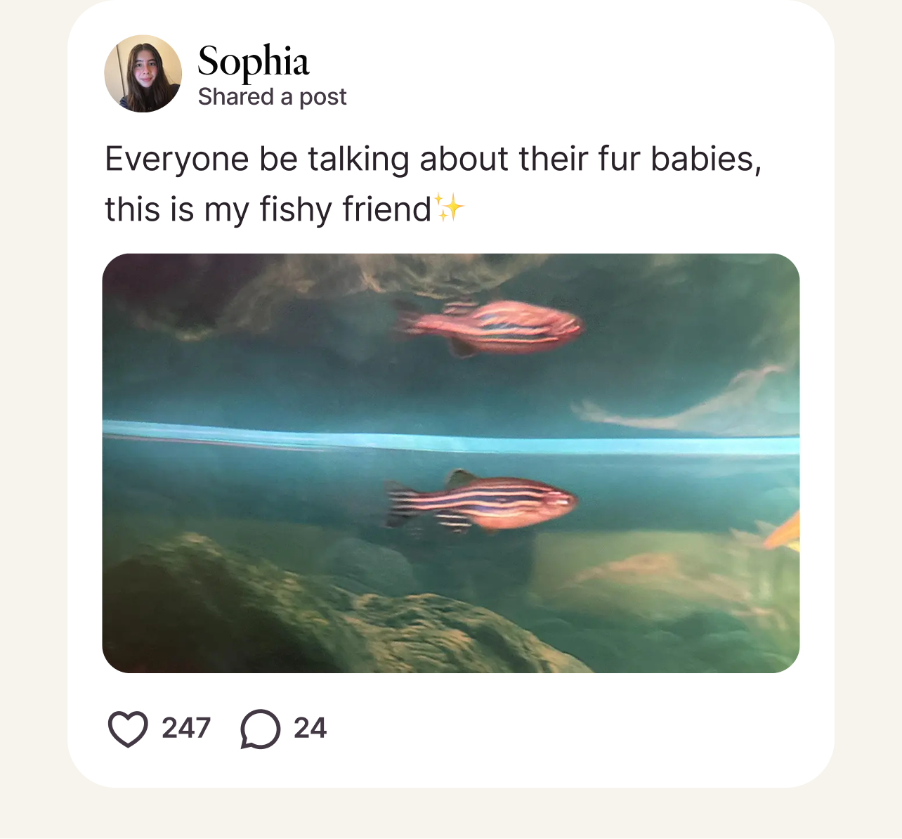 Post from Sophia