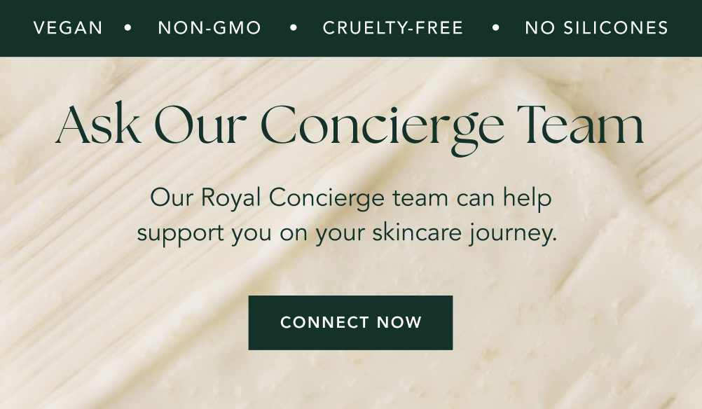 Connect Now