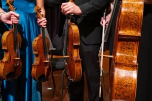orchestra members hold violins
