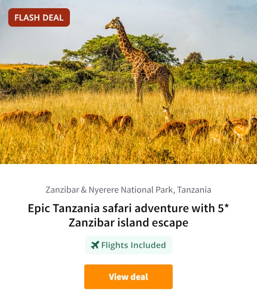 Epic Tanzania safari adventure with 5* Zanzibar island escape
