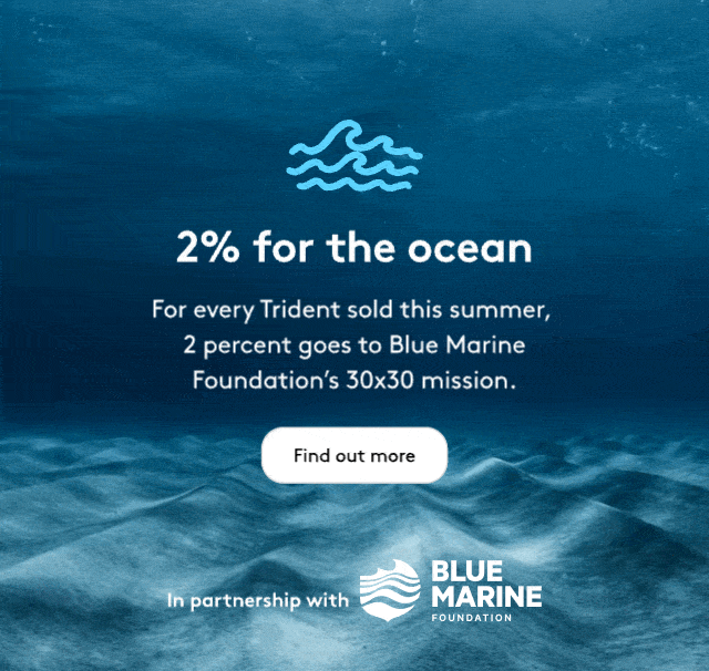 Trident Summer - 2% for good