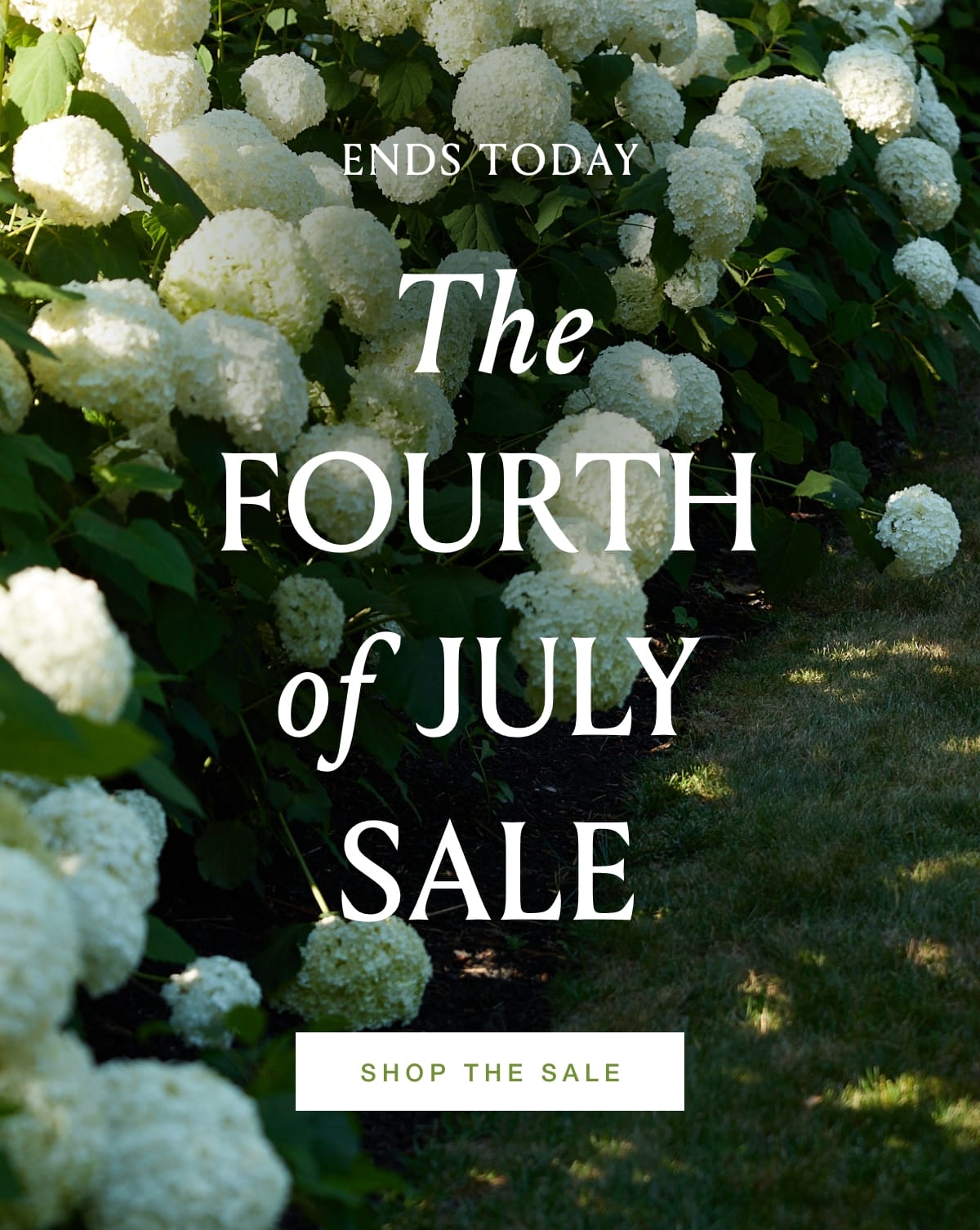 Shop The Sale