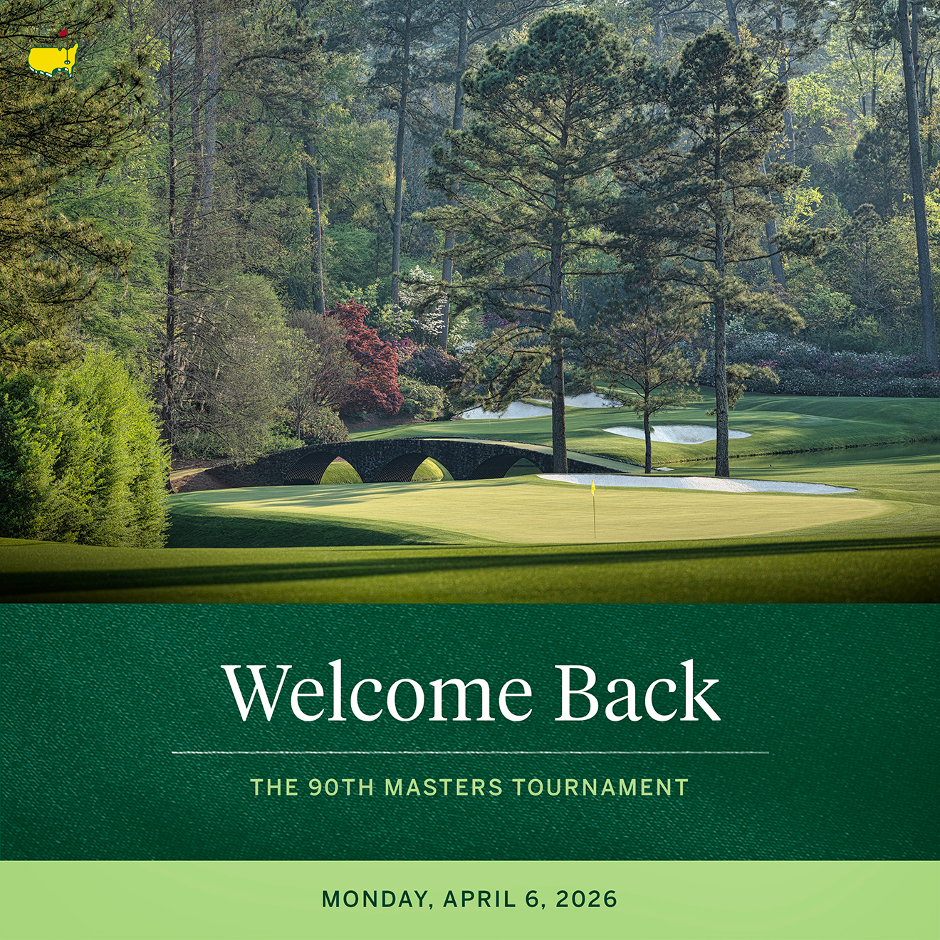 Welcome Back